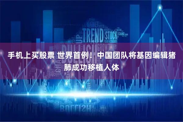 手机上买股票 世界首例！中国团队将基因编辑猪肺成功移植人体