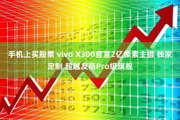 手机上买股票 vivo X300官宣2亿像素主摄 独家定制 超越友商Pro级旗舰