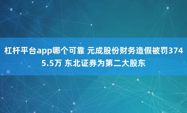 杠杆平台app哪个可靠 元成股份财务造假被罚3745.5万 东北证券为第二大股东