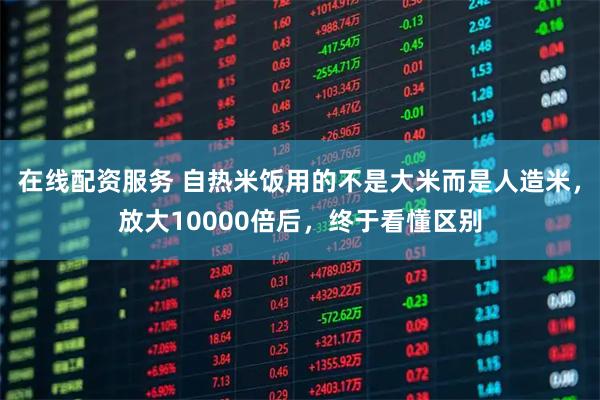 在线配资服务 自热米饭用的不是大米而是人造米，放大10000倍后，终于看懂区别