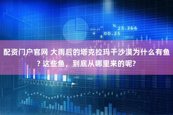配资门户官网 大雨后的塔克拉玛干沙漠为什么有鱼? 这些鱼，到底从哪里来的呢?