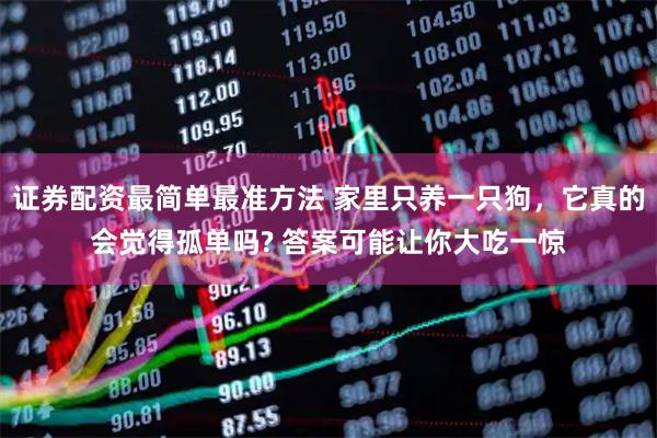 证券配资最简单最准方法 家里只养一只狗，它真的会觉得孤单吗? 答案可能让你大吃一惊